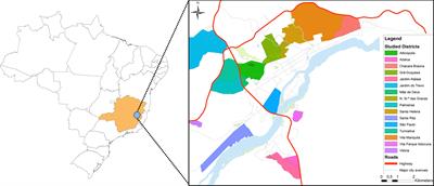 Replacement of Leishmania (Leishmania) infantum Populations in an Endemic Focus of Visceral Leishmaniasis in Brazil